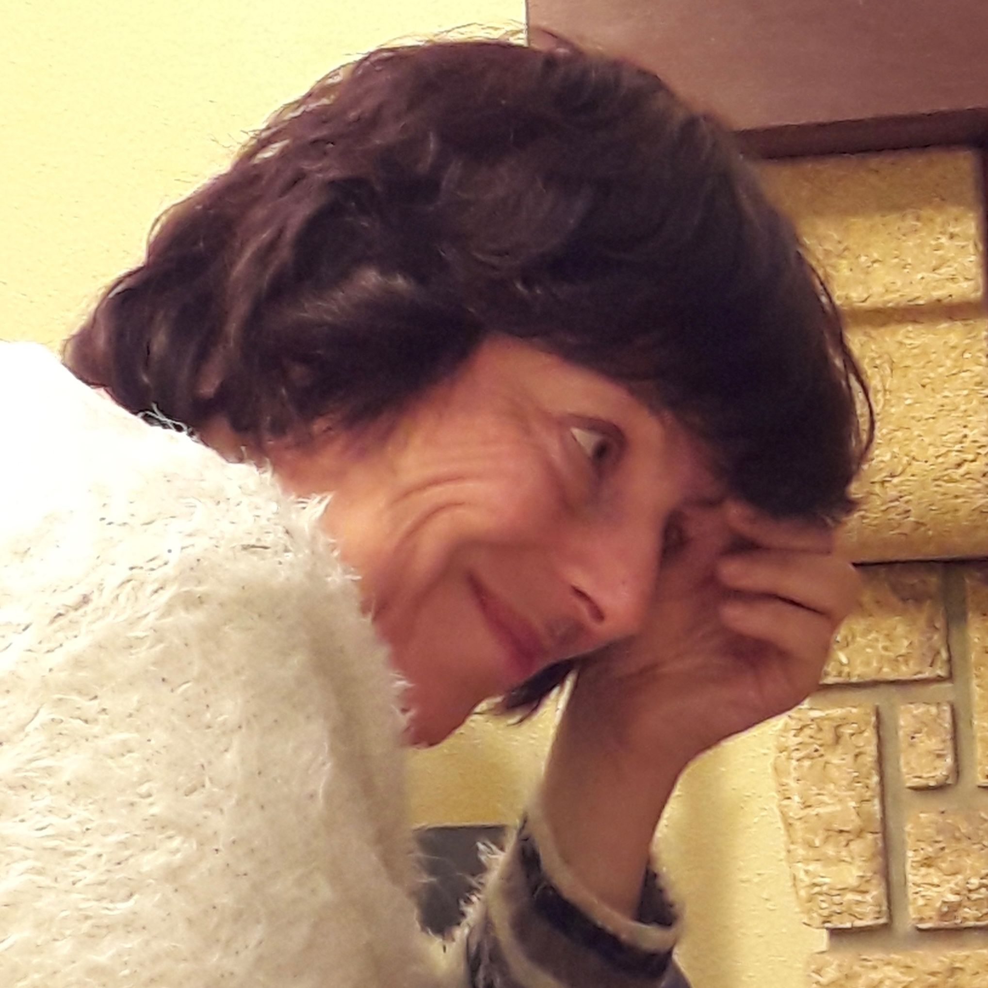 Photo de Dominique DECHAMBENOY