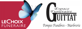 logo papillon bleu guittat